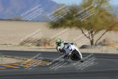 media/Feb-04-2023-SoCal Trackdays (Sat) [[8a776bf2c3]]/Turn 4 (Tree of Life 2pm)/